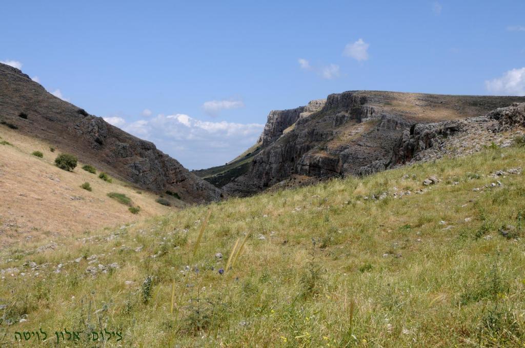 Arbel Guest House Shavit Family Exteriér fotografie